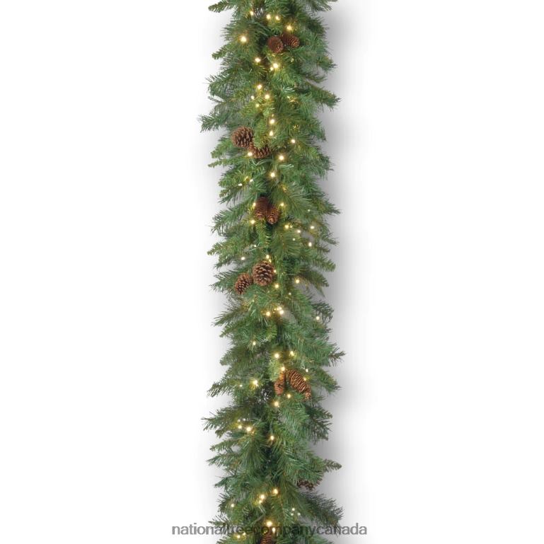 National Tree Company Pre-Lit Artificial Christmas Garland Green Garwood Spruce White Lights Plug In Christmas Collection 9 Feet 68R08365