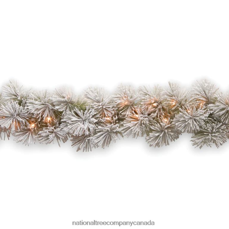 National Tree Company Pre-Lit Artificial Christmas Garland Green Glittery Bristle Pine White Lights Decorated With Frosted Branches Plug In Christmas Collection 9 Feet 68R08361