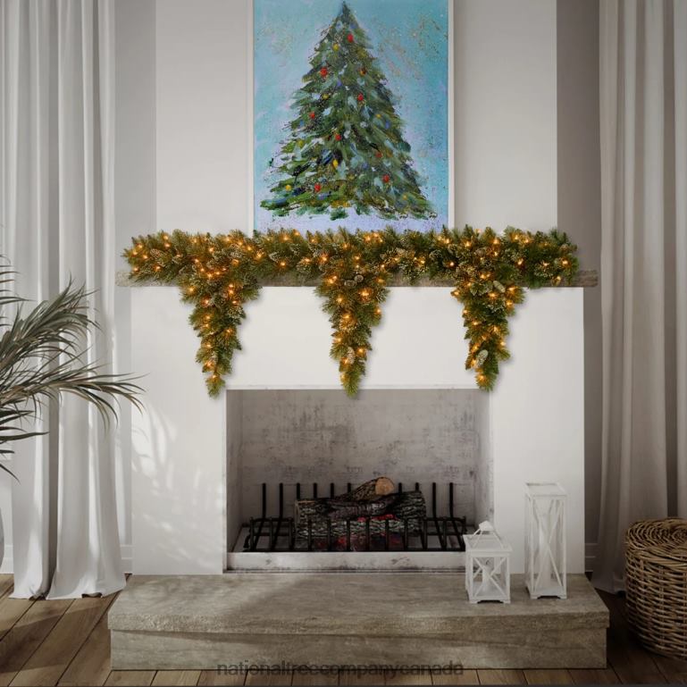 National Tree Company Pre-Lit Artificial Christmas Garland Green Glittery Bristle Pine White Lights Decorated With Pine Cones Plug In Christmas Collection 6 Feet 68R08457