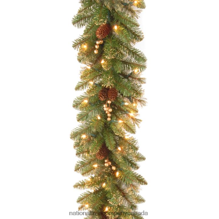 National Tree Company Pre-Lit Artificial Christmas Garland Green Glittery Pine White Lights Decorated With Pine Cones Berry Clusters Plug In Christmas Collection 9 Feet 68R08343