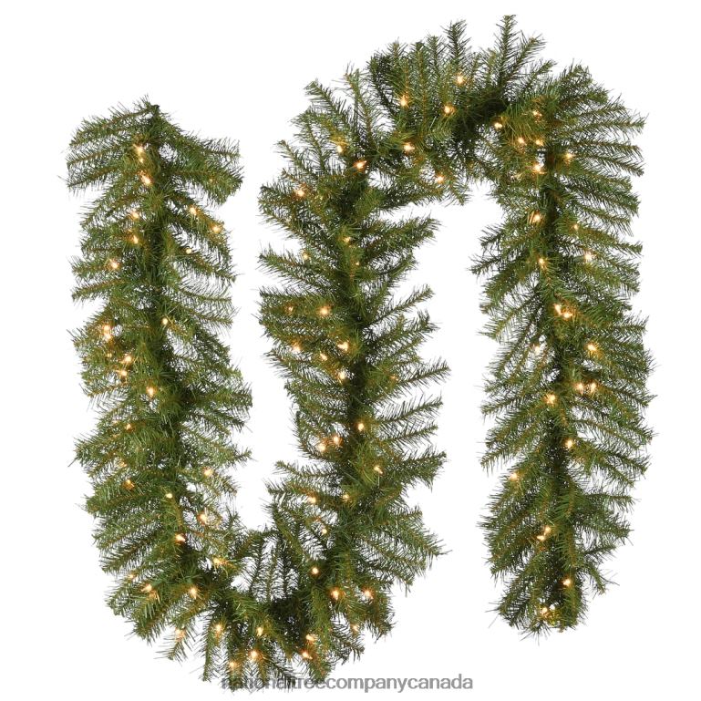 National Tree Company Pre-Lit Artificial Christmas Garland Green Norwood Fir White Lights Plug In Christmas Collection 9 Feet 68R08342