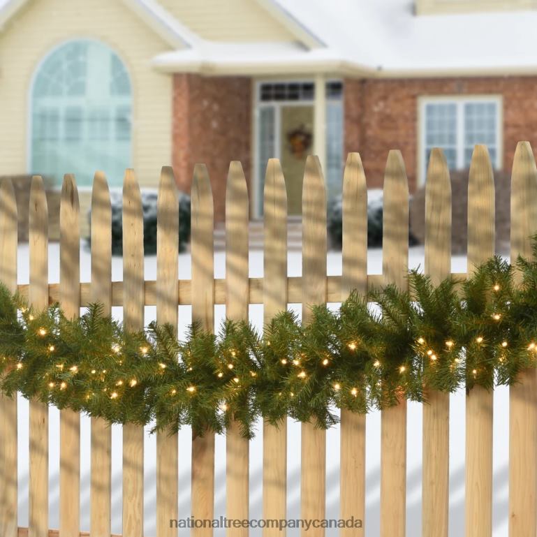 National Tree Company Pre-Lit Artificial Christmas Garland Green Norwood Fir White Lights Plug In Christmas Collection 9 Feet 68R08342