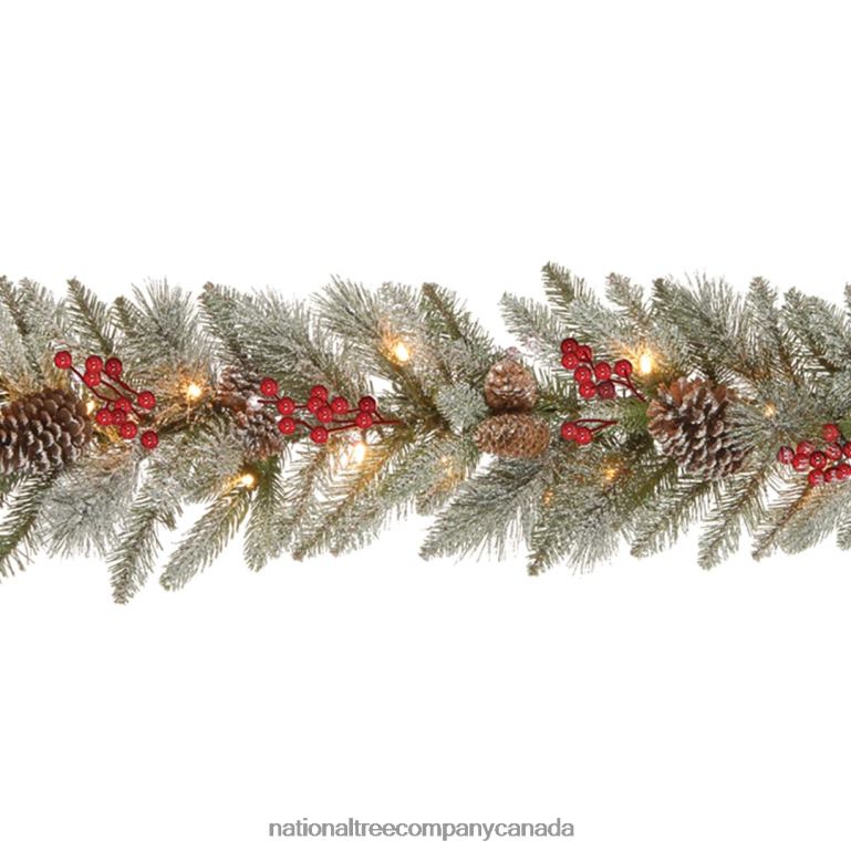 National Tree Company Pre-Lit Artificial Christmas Garland Green Snowy Bristle Berry White Lights Decorated With Pine Cones Berry Clusters Plug In Christmas Collection 9 Feet 68R08405