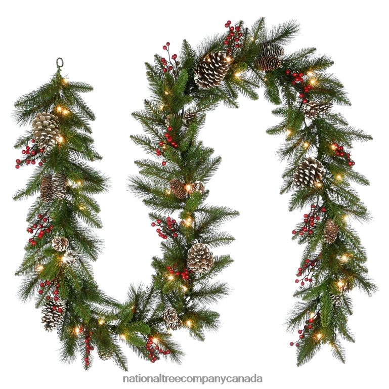 National Tree Company Pre-Lit Artificial Christmas Garland Green Snowy Green White Lights Decorated With Pine Cones Berry Clusters Plug In Christmas Collection 6 Feet 68R08355