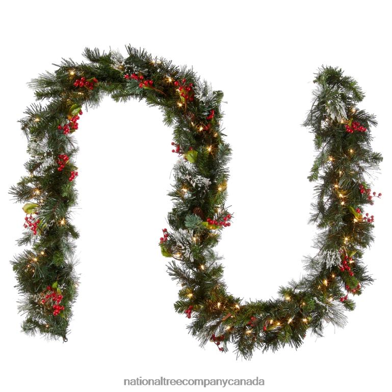National Tree Company Pre-Lit Artificial Christmas Garland Green Wintry Pine White Lights Decorated with Pine Cones Berry Clusters Plug In Christmas Collection 9 Feet 68R08332