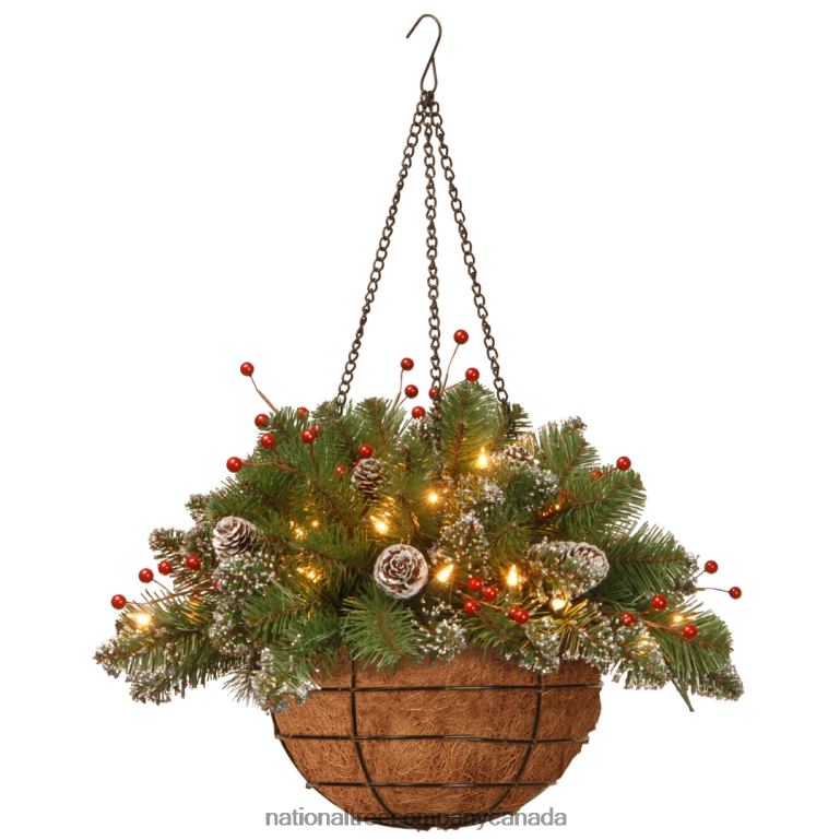 National Tree Company Pre-Lit Artificial Christmas Hanging Basket Mountain Spruce Decorated With Frosted Pine Cones Berry Clusters White Lights Christmas Collection 20 Inches 68R08437