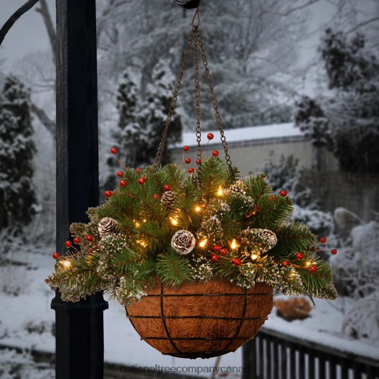 National Tree Company Pre-Lit Artificial Christmas Hanging Basket Mountain Spruce Decorated With Frosted Pine Cones Berry Clusters White Lights Christmas Collection 20 Inches 68R08437