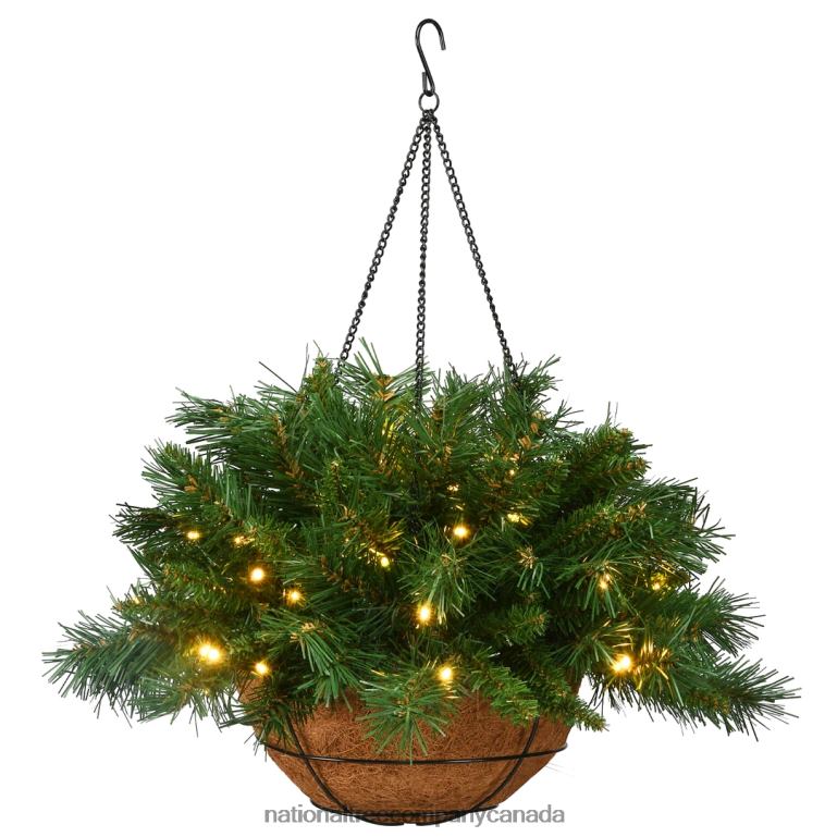 National Tree Company Pre-Lit Artificial Christmas Hanging Basket Tiffany Fir Decorated With Frosted Pine Cones Berry Clusters White Lights Christmas Collection 20 Inches 68R08509