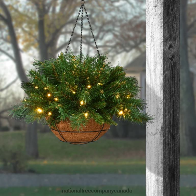 National Tree Company Pre-Lit Artificial Christmas Hanging Basket Tiffany Fir Decorated With Frosted Pine Cones Berry Clusters White Lights Christmas Collection 20 Inches 68R08509