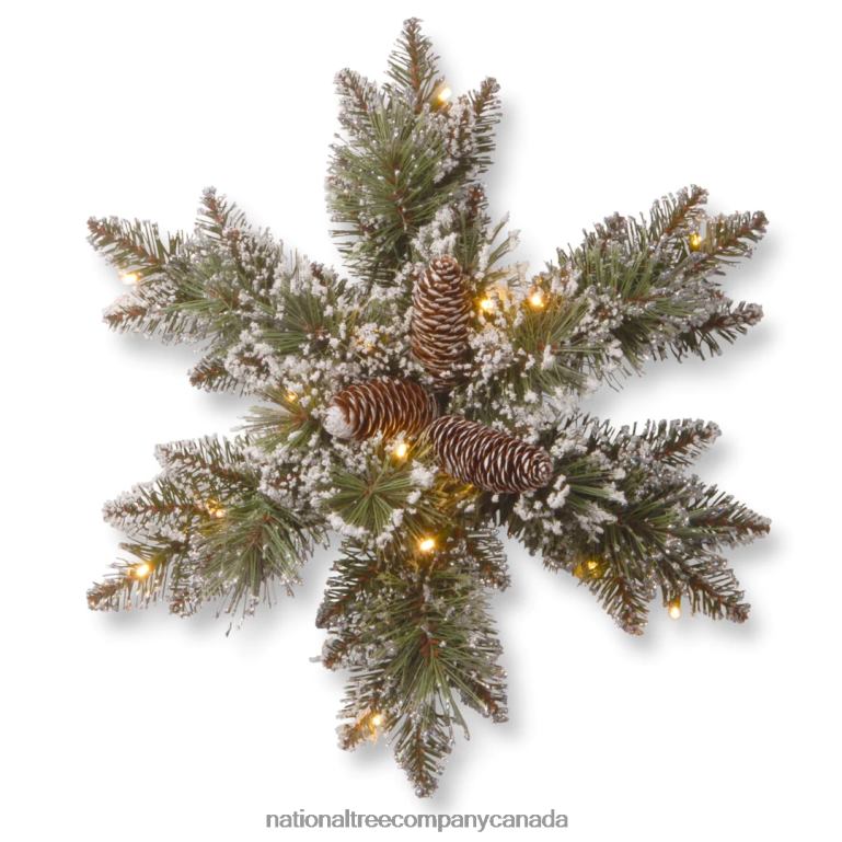 National Tree Company Pre-Lit Artificial Christmas Hanging Snowflake Green Glittery Bristle Pine Decorated with Pine Cones Frosted Branches Christmas Collection 18 Inches 68R08444