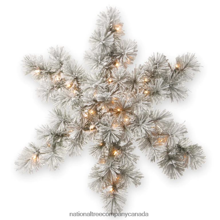 National Tree Company Pre-Lit Artificial Christmas Hanging Snowflake Green Snowy Bristle Pine Decorated with Frosted Branches Christmas Collection 32 Inches 68R08478