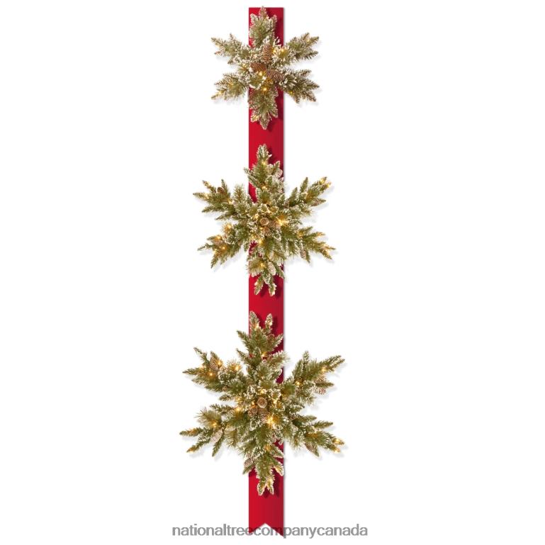 National Tree Company Pre-Lit Artificial Christmas Hanging Snowflakes Door Decoration Green Glittery Bristle Pine White Lights Christmas Collection 77 Inches 68R08486