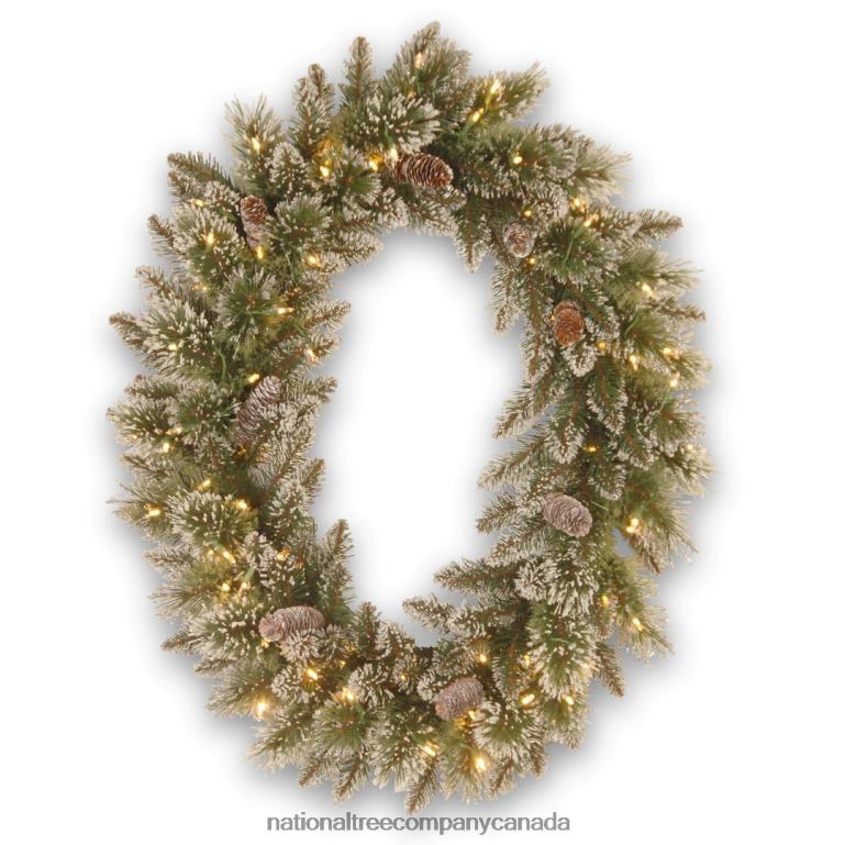 National Tree Company Pre-Lit Artificial Christmas Oval Wreath Green Glittery Bristle Pine White Lights Decorated with Pine Cones Frosted Branches Christmas Collection 21 Inches 68R08244