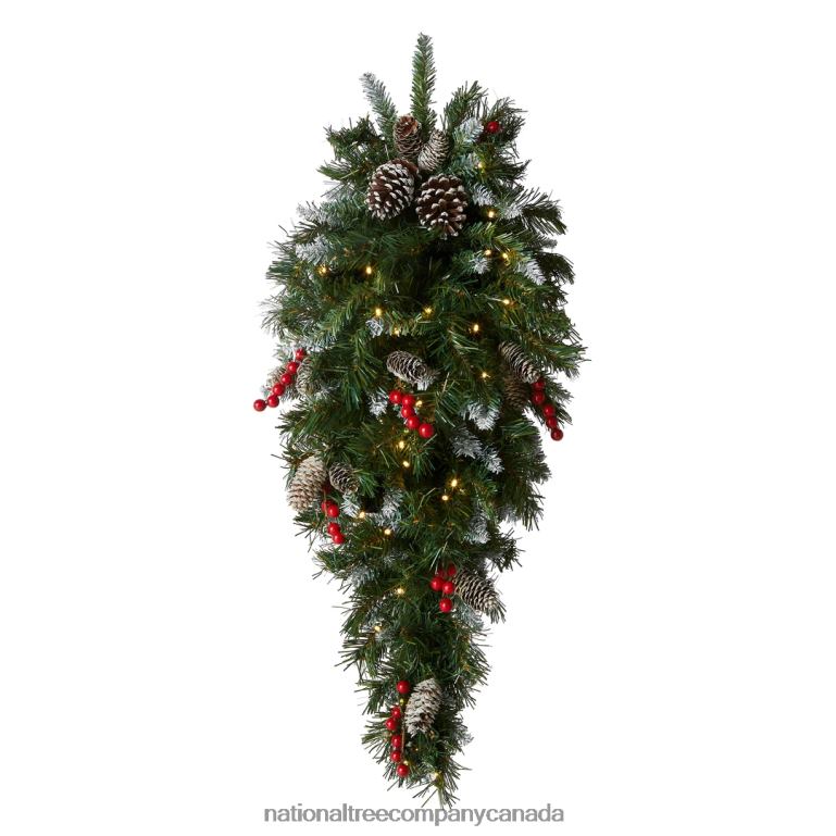 National Tree Company Pre-Lit Artificial Christmas Teardrop Green Frosted Berry White Lights Decorated with Pine Cones Berry Clusters Frosted Branches Christmas Collection 36 Inches 68R08438