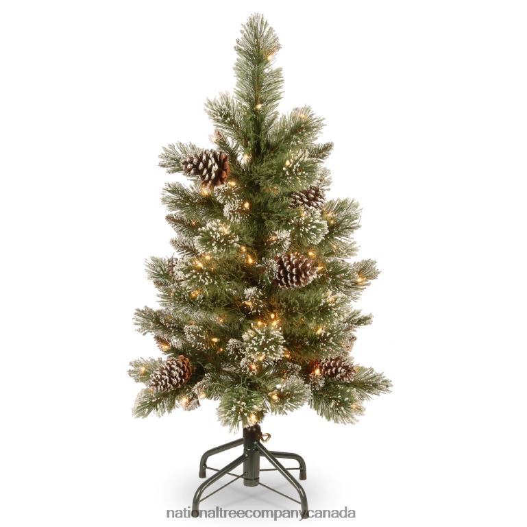 National Tree Company Pre-Lit Artificial Christmas Tree Glittering Pine Pencil Slim with Clear Lights Plug In 3 ft 68R0862