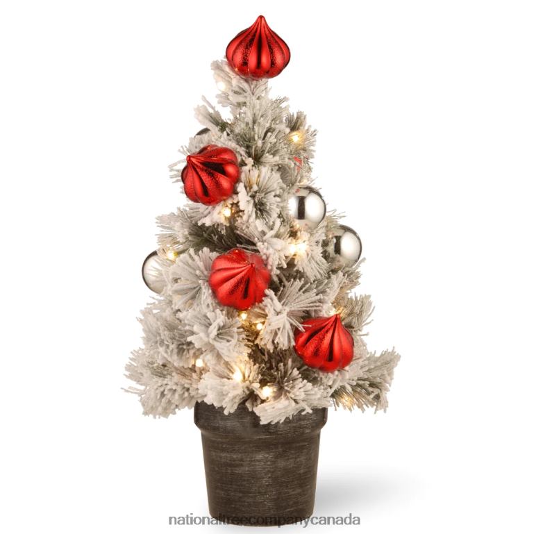 National Tree Company Pre-Lit Artificial Christmas Tree Green Snowy Bristle Pine White LED Lights Decorated with Pine Cones Ball Ornaments Includes Pot Base Battery Operated 24 Inches 68R08165