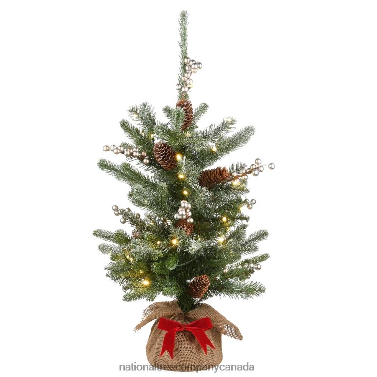 National Tree Company Pre-Lit Artificial Christmas Tree Green Snowy Morgan Spruce White LED Lights Decorated with Pine Cones Includes Cloth Bag Base Battery Operated 2 Feet 68R08194