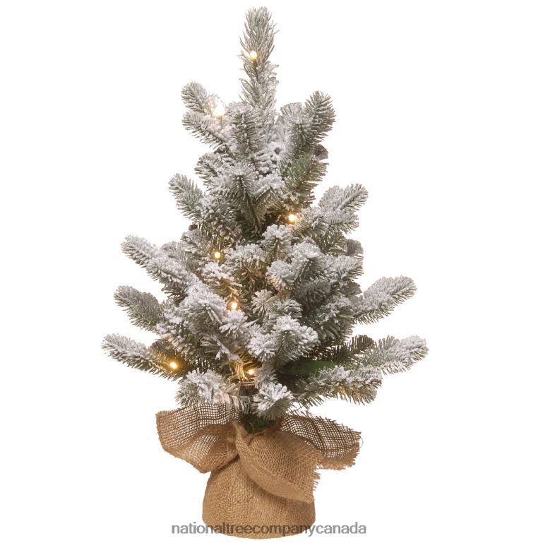 National Tree Company Pre-Lit Artificial Christmas Tree Green Snowy Sheffield Spruce White LED Lights Includes Cloth Bag Base Battery Operated 24 Inches 68R08177