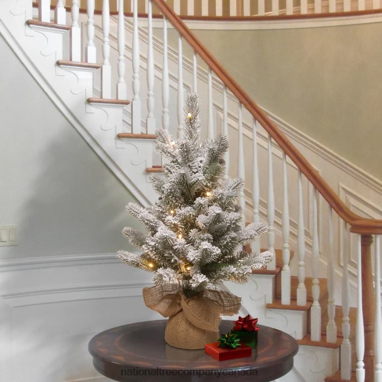 National Tree Company Pre-Lit Artificial Christmas Tree Green Snowy Sheffield Spruce White LED Lights Includes Cloth Bag Base Battery Operated 24 Inches 68R08177