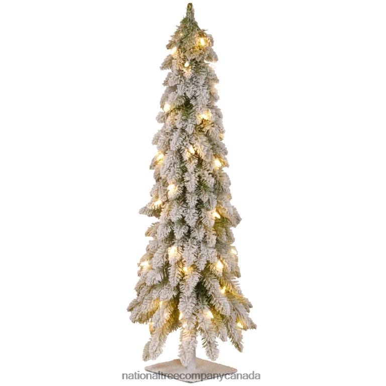 National Tree Company Pre-Lit Artificial Christmas Tree Snowy Downswept Green White Lights Includes Stand 4 Feet 68R0853