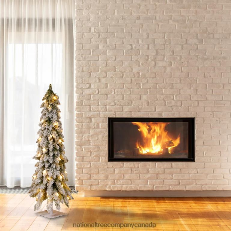 National Tree Company Pre-Lit Artificial Christmas Tree Snowy Downswept Green White Lights Includes Stand 4 Feet 68R0853