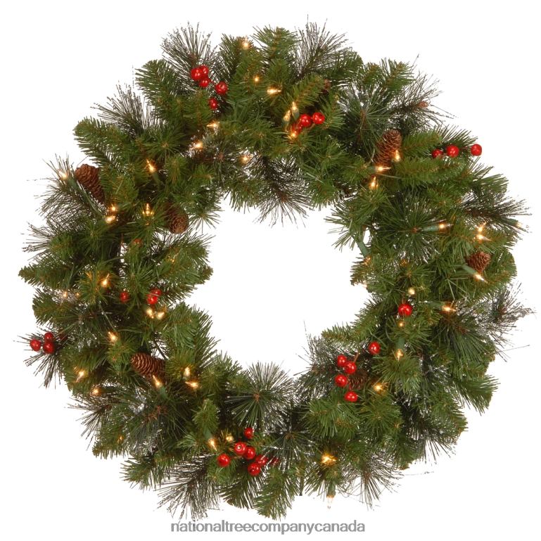 National Tree Company Pre-Lit Artificial Christmas Wreath Crestwood Spruce with Twinkly LED Lights Plug in 24 in 68R08316