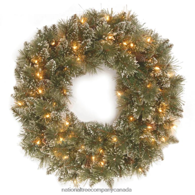National Tree Company Pre-Lit Artificial Christmas Wreath Glittery Bristle Pine with Twinkly LED Lights Plug in 24 in 68R08310