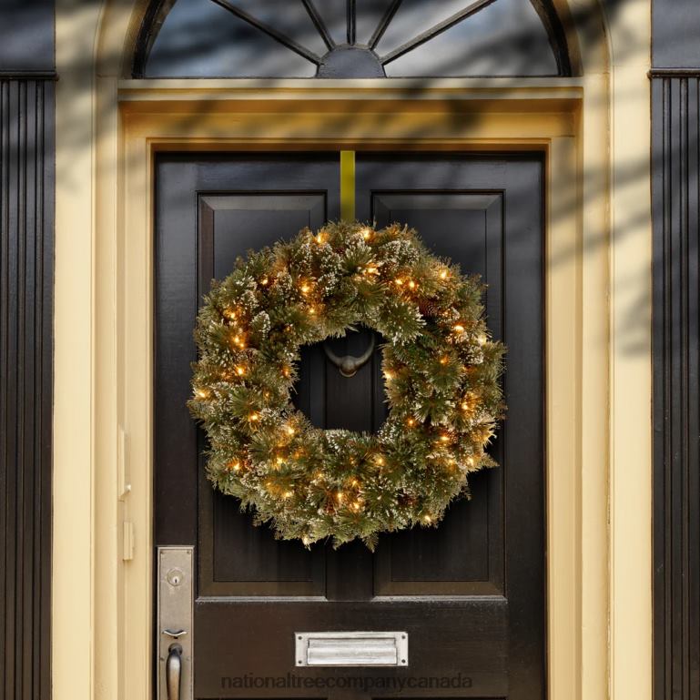 National Tree Company Pre-Lit Artificial Christmas Wreath Glittery Bristle Pine with Twinkly LED Lights Plug in 24 in 68R08310