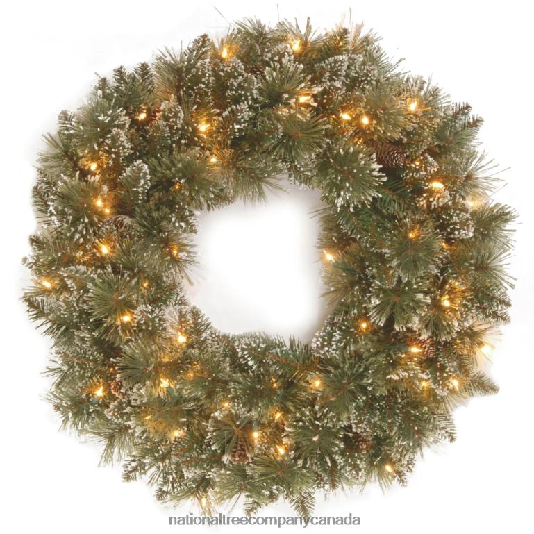 National Tree Company Pre-Lit Artificial Christmas Wreath Glittery Bristle Pine with Twinkly LED Lights Plug in 30 in 68R08280