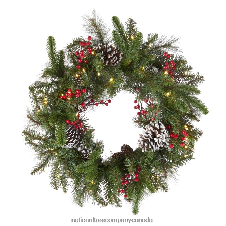 National Tree Company Pre-Lit Artificial Christmas Wreath Green Bristle Berry Pine White Lights Decorated with Frosted Branches Pine Cones Berry Clusters Christmas Collection 24 Inches 68R0822
