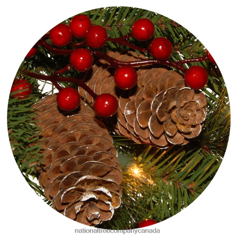 National Tree Company Pre-Lit Artificial Christmas Wreath Green Bristle Berry Pine White Lights Decorated with Frosted Branches Pine Cones Berry Clusters Christmas Collection 24 Inches 68R0822