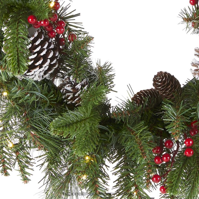 National Tree Company Pre-Lit Artificial Christmas Wreath Green Bristle Berry Pine White Lights Decorated with Frosted Branches Pine Cones Berry Clusters Christmas Collection 24 Inches 68R0822