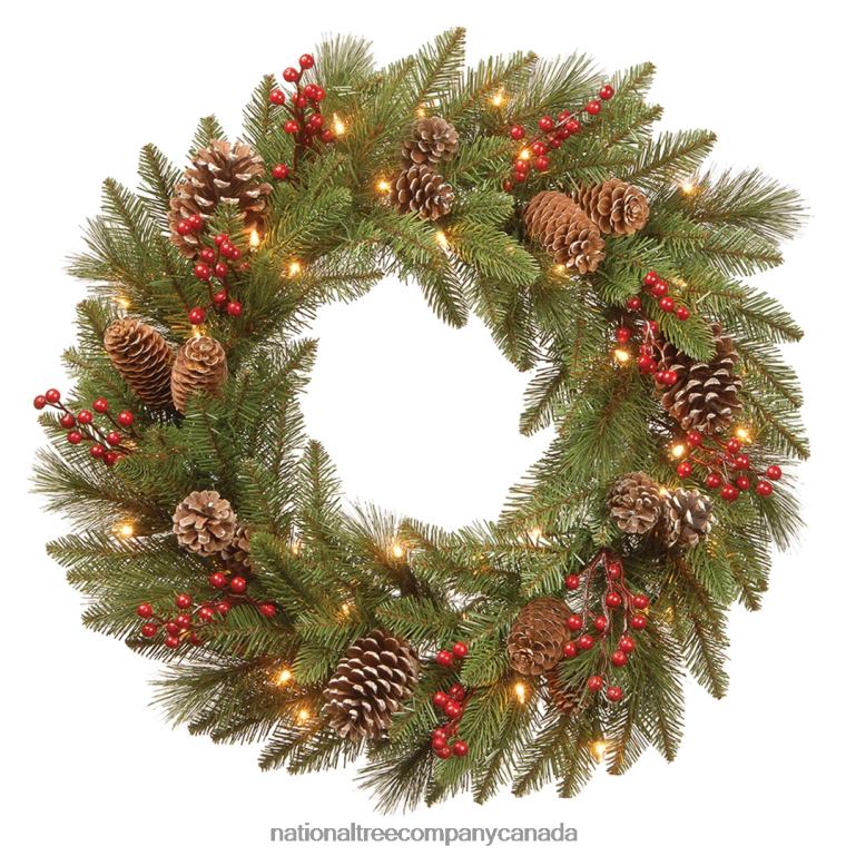 National Tree Company Pre-Lit Artificial Christmas Wreath Green Bristle Berry Pine White Lights Decorated with Frosted Branches Pine Cones Berry Clusters Christmas Collection 24 Inches 68R0822