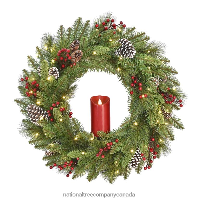 National Tree Company Pre-Lit Artificial Christmas Wreath Green Bristle Berry Pine White Lights Decorated with Frosted Branches Pine Cones Berry Clusters Christmas Collection 24 Inches 68R0823