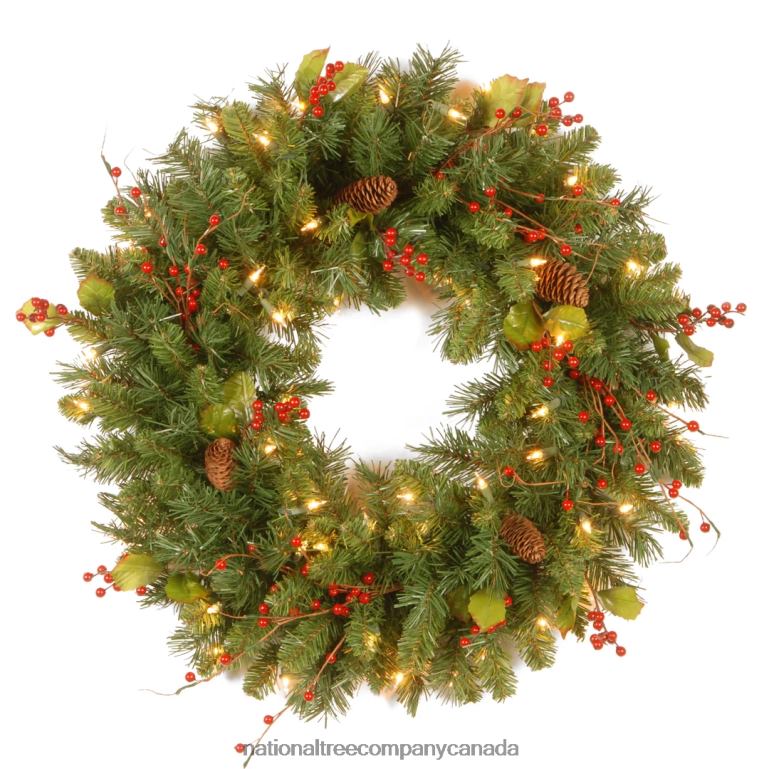 National Tree Company Pre-Lit Artificial Christmas Wreath Green Classical White Lights Decorated with Pine Cones Berry Clusters Leaves Twigs Christmas Collection 24 Inches 68R08234