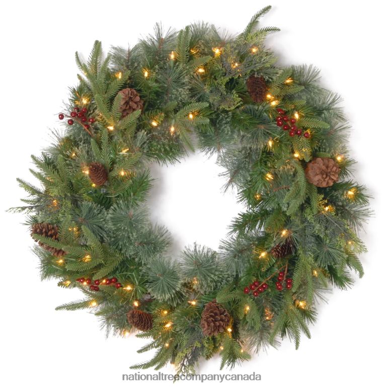 National Tree Company Pre-Lit Artificial Christmas Wreath Green Colonial Fir White Lights Decorated with Pine Cones Berry Clusters Christmas Collection 24 Inches 68R08253
