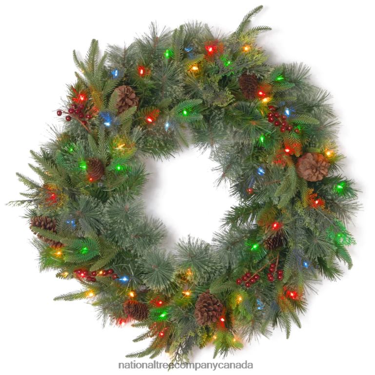 National Tree Company Pre-Lit Artificial Christmas Wreath Green Colonial Fir White Lights Decorated with Pine Cones Berry Clusters Christmas Collection 24 Inches 68R08253