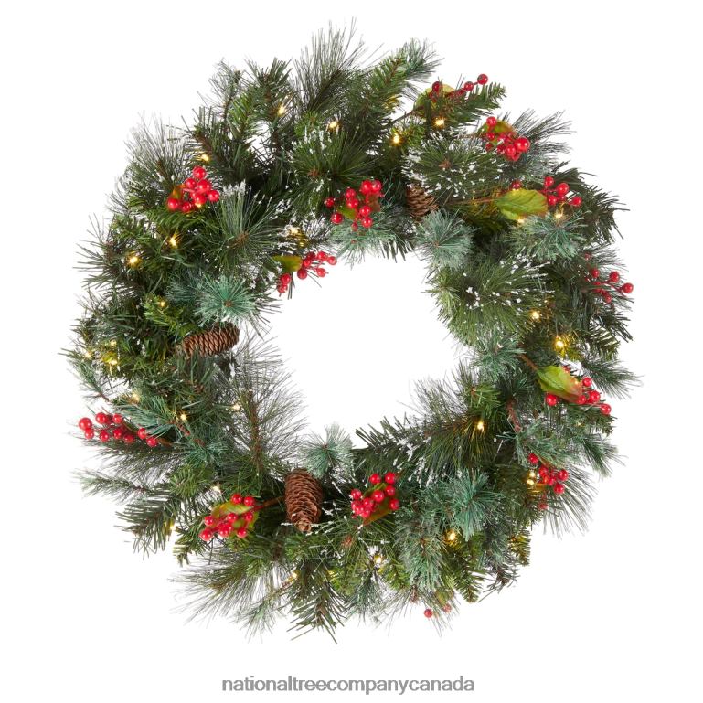 National Tree Company Pre-Lit Artificial Christmas Wreath Green Crestwood Spruce White Lights Decorated with Pine Cones Berry Clusters Frosted Branches Christmas Collection 24 Inches 68R08226