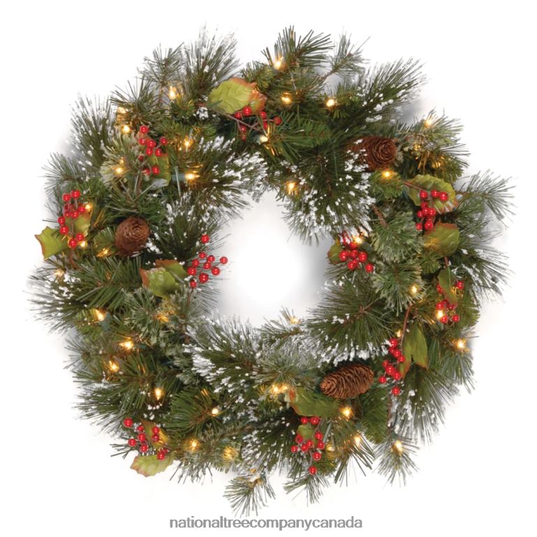 National Tree Company Pre-Lit Artificial Christmas Wreath Green Crestwood Spruce White Lights Decorated with Pine Cones Berry Clusters Frosted Branches Christmas Collection 24 Inches 68R08226