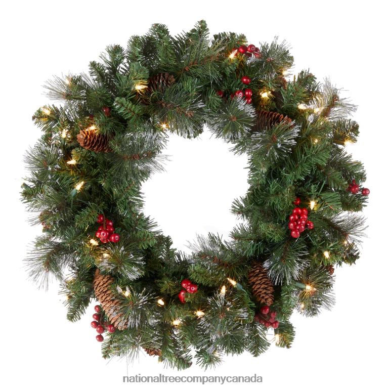 National Tree Company Pre-Lit Artificial Christmas Wreath Green Crestwood Spruce White Lights Plug-In Decorated with Pine Cones Berry Clusters Christmas Collection 24 Inches 68R08220