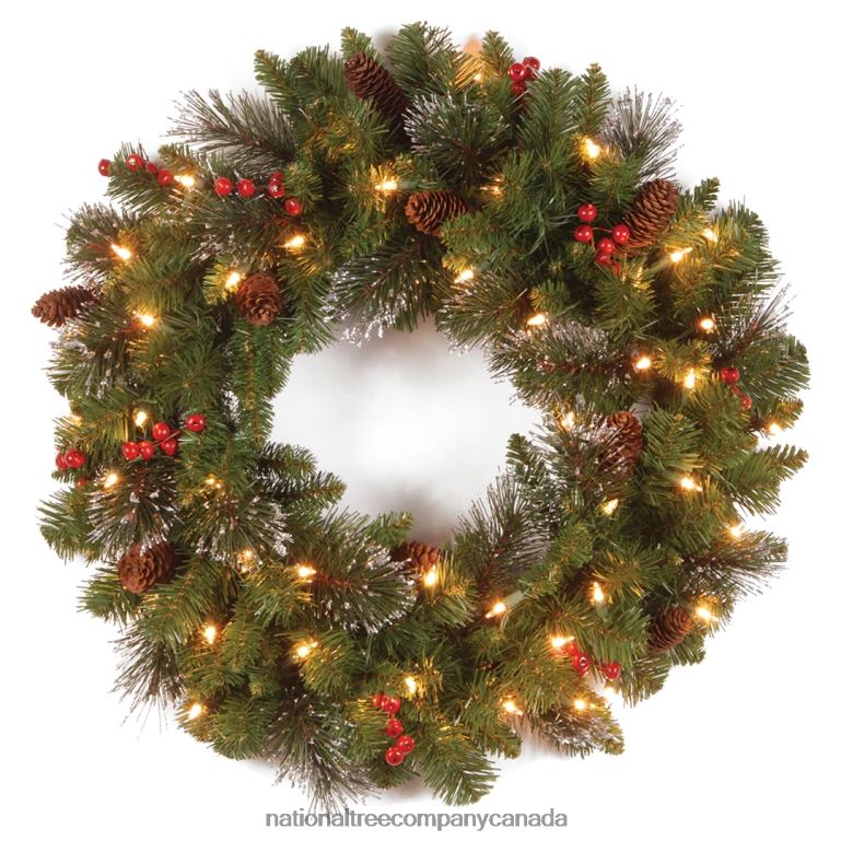National Tree Company Pre-Lit Artificial Christmas Wreath Green Crestwood Spruce White Lights Plug-In Decorated with Pine Cones Berry Clusters Christmas Collection 24 Inches 68R08220