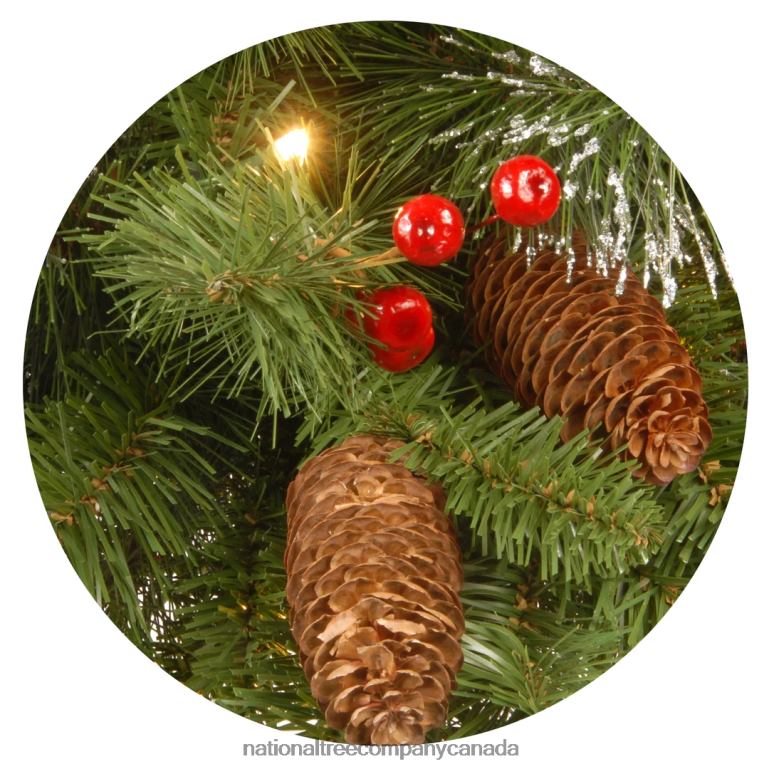 National Tree Company Pre-Lit Artificial Christmas Wreath Green Crestwood Spruce White Lights Plug-In Decorated with Pine Cones Berry Clusters Christmas Collection 24 Inches 68R08220