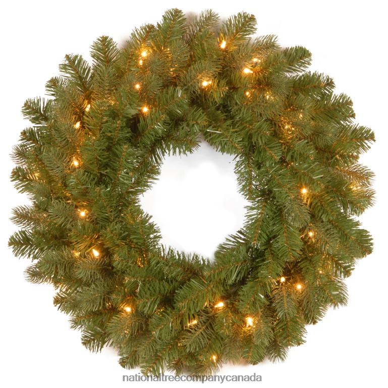 National Tree Company Pre-Lit Artificial Christmas Wreath Green Downswept Douglas Fir White Lights Christmas Collection 24 Inches 68R08256