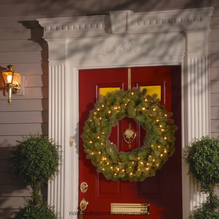 National Tree Company Pre-Lit Artificial Christmas Wreath Green Downswept Douglas Fir White Lights Christmas Collection 24 Inches 68R08256