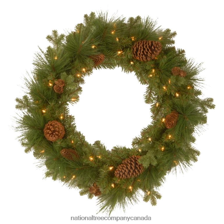 National Tree Company Pre-Lit Artificial Christmas Wreath Green Eastwood Spruce White Lights Decorated with Pine Cones Christmas Collection 24 Inches 68R08263