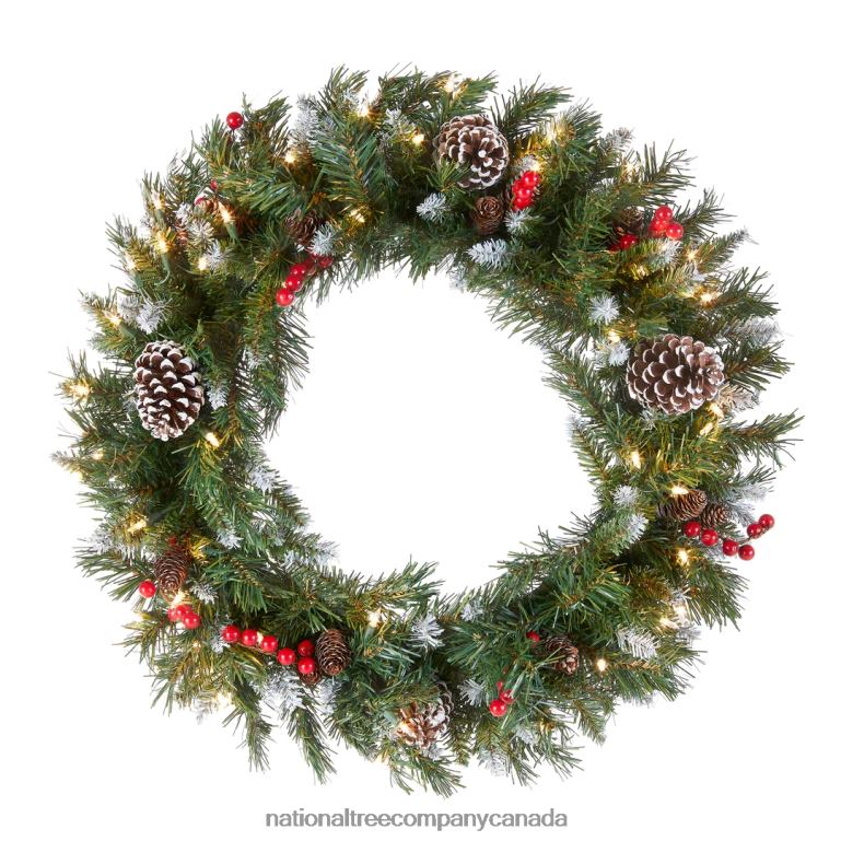 National Tree Company Pre-Lit Artificial Christmas Wreath Green Frosted Berry White Lights Decorated with Pine Cones Berry Clusters Frosted Branches Christmas Collection 24 Inches 68R08225