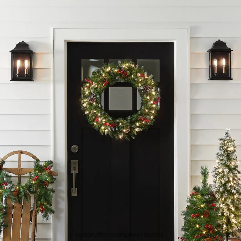 National Tree Company Pre-Lit Artificial Christmas Wreath Green Frosted Berry White Lights Decorated with Pine Cones Berry Clusters Frosted Branches Christmas Collection 24 Inches 68R08225