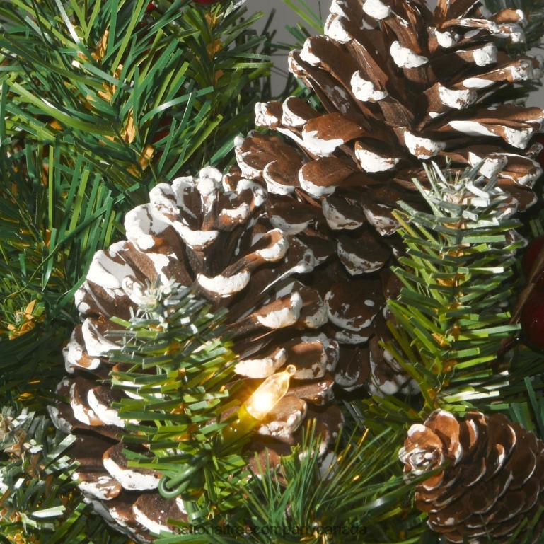 National Tree Company Pre-Lit Artificial Christmas Wreath Green Frosted Berry White Lights Decorated with Pine Cones Berry Clusters Frosted Branches Christmas Collection 24 Inches 68R08225