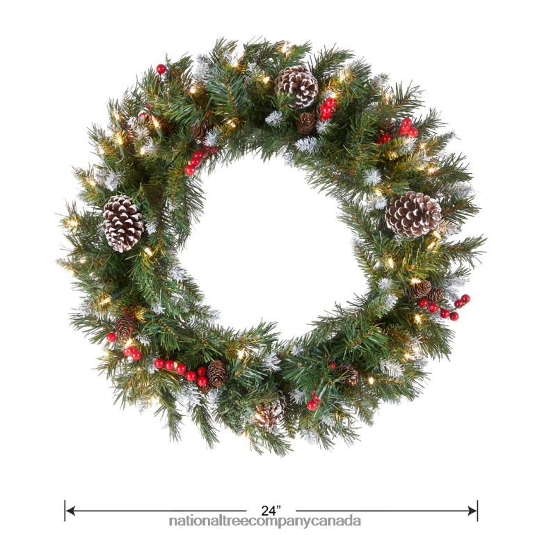 National Tree Company Pre-Lit Artificial Christmas Wreath Green Frosted Berry White Lights Decorated with Pine Cones Berry Clusters Frosted Branches Christmas Collection 24 Inches 68R08225