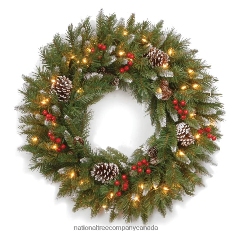National Tree Company Pre-Lit Artificial Christmas Wreath Green Frosted Berry White Lights Decorated with Pine Cones Berry Clusters Frosted Branches Christmas Collection 24 Inches 68R08225
